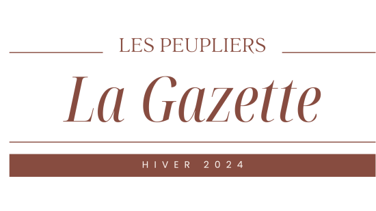 Image Nouvelle édition de la Gazette du secteur scolaire